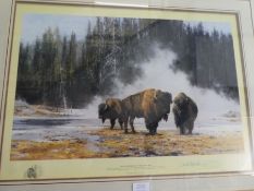 David Shepherd limited edition pencil signed print titled "The Hot Springs of Yellowstone", 224/1500