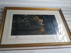 David Shepherd, a limited edition pencil signed print titled "Burning Bright" 22/2000 78.5cm x 50cm