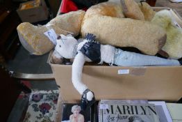 A box of Teddies, including a pedigree Grizzly, and bear books