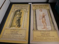 Two mid 20th century books on The Anatomy of the Female and Male Human Body