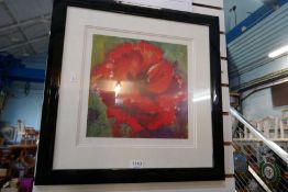 A selection of framed, pencil signed, limited edition prints all depicting poppies by Janet Judge an