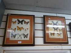 Two framed and glazed butterfly pictures