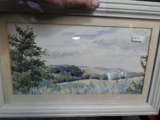 6 real watercolour paintings, indistinctly signed, 1 real oil painting by L. Willmore and 2 printe