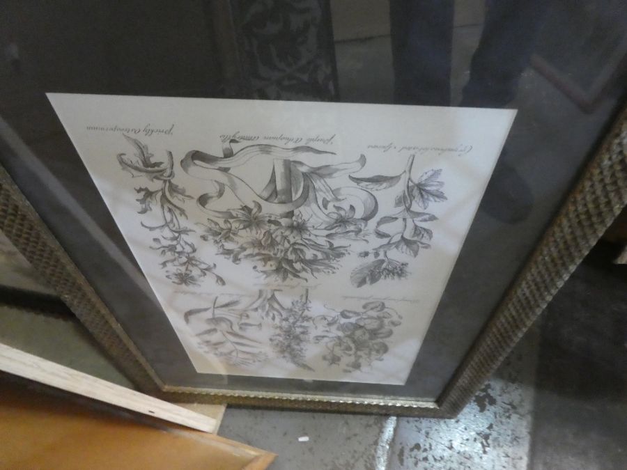 8 detailed prints of flowers all are indistinctly signed. - Image 2 of 2