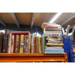 Two shelves of assorted books, including Enid Blyton and children's examples