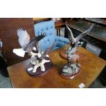 A border Fine Arts model of Red Stagg and two china figures of Eagles