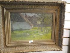An oil painting of ducks beside buildings possibly Dutch, unsigned, 44 x 59cm