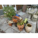 A quantity of modern garden pots, one having Hydrangea plant