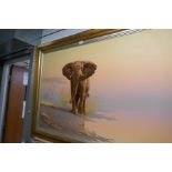 Brian Scott Dawkins, a large oil of African Elephant beside water, signed, 118.5cm x 49cm