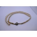 Antique string of pearls with yellow gold clasp in the form of a flower head inset diamonds, pearls,
