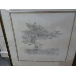 A pencil signed limited edition print of Cows below tree, by Geldart, 264/750