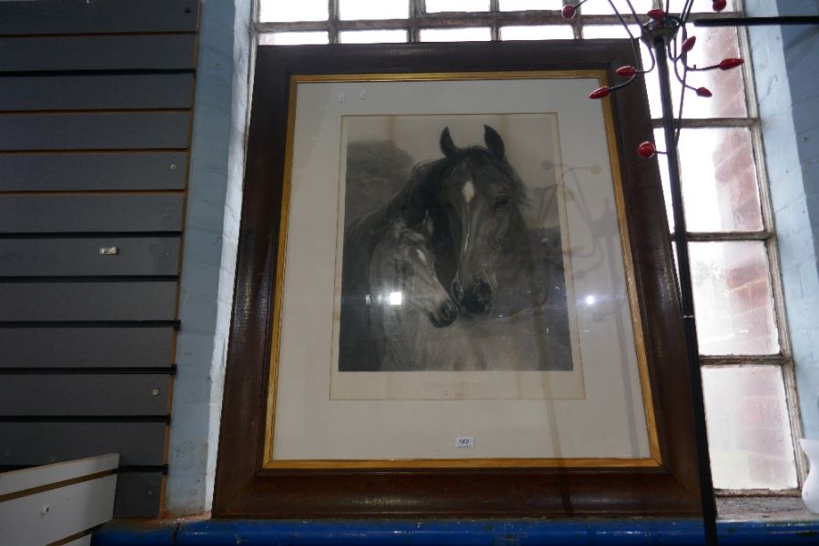 A large antiques print of Horse and Foal in oak frame