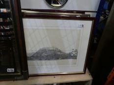 A set of framed prints, some depicting Bermuda etc