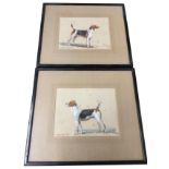 Tom Carr, watercolours, a pair, 1955 studies of foxhounds, Wealthy and Latitude, signed, mounted &