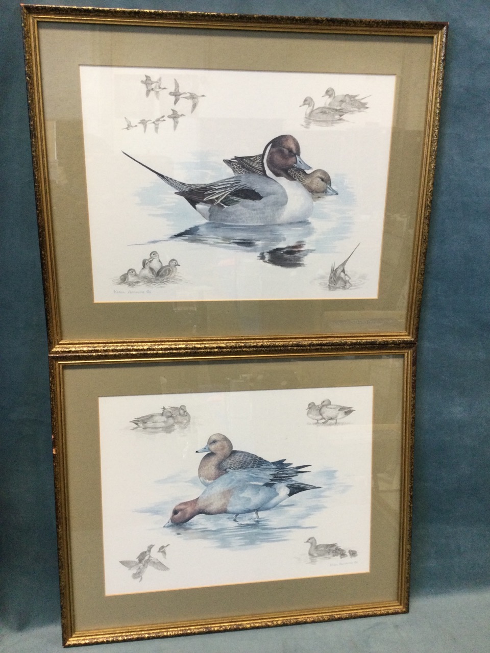 Two framed Peter Scott prints - Taking to Wing and Pinkfoot Coming Home to Roost; and a pair of - Image 3 of 3
