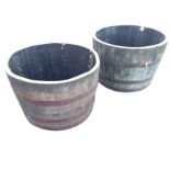 A pair of large oak barrel planters, each having staves bound by riveted metal strap bands. (25.