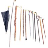 A collection of miscellaneous walking sticks including carved horn handled, hazel, chip carved cane,