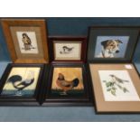 NK Winn, pen, ink & watercolour, two studies of birds, signed & framed; WP Tait, watercolour study