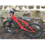 A childs Raleigh mountain bike - Bedlam 20, with Revoshift gears, padded long seat, reflectors, etc.