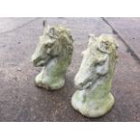 A pair of composition stone horseheads raised on oval plinths - some chips. (21in) (2)