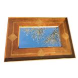 A mahogany framed mirror, the rectangular bevelled plate with wide border inlaid with fossilstone