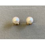 A pair of quarter inch pearl earrings mounted on 9ct gold posts with scrolled keepers. (2)