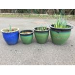 A graduated set of three green glazed stoneware garden pots planted with bulbs; and another