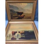 Late Victorian oil on canvas and on board, a pair, highland cattle watering and in landscapes, in
