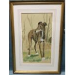 Mark Huskinson, watercolour, study of a greyhound in landscape, signed, mounted and framed. (9.