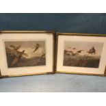 Archibald Thorburn, a pair, pheasant & partridge photogravure prints, published by The Illustrated