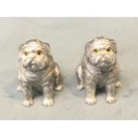 A pair of silver plated cruets modelled as pugs seated on their haunches, with inlaid glass eyes. (
