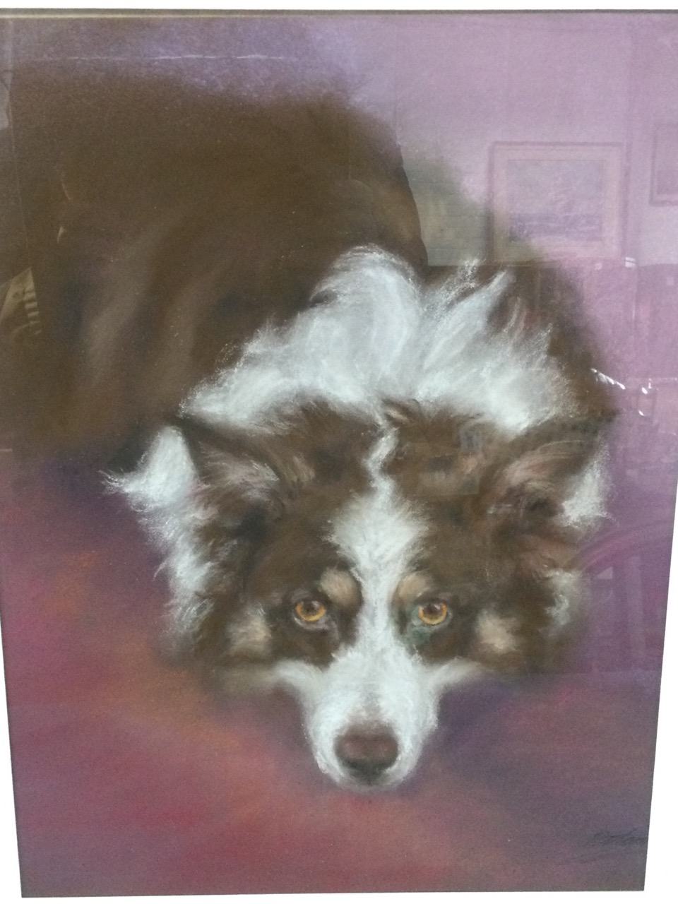 B Moorcroft, pastel, study of a collie dog, signed, mounted and framed; and another watercolour by - Bild 2 aus 3