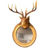 A circular mirror in treetrunk type moulded frame surmounted by a faux stags head with twelve
