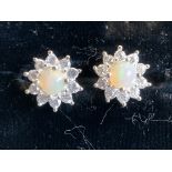 A pair of Ethiopian welo opal stud earrings, the iridescent stones claw set in sterling silver, each
