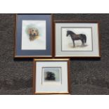 Julie Hartley, watercolour of a horse in bridle; Julie Hartley watercolour of a labrador; and John