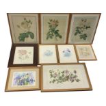 A set of three framed Redouté rose prints; three framed watercolours of flowers - two signed; a pair