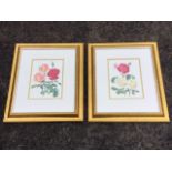 Anne-Marie Trechslin, a pair, lithographic prints with roses, mounted & gilt framed. (6.25in x 8.