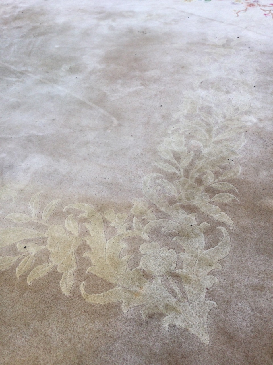 A Chinese thick pile wool carpet woven with embossed ivory floral frieze on mushroom ground, with - Image 2 of 3