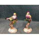 A pair of continental porcelain birds in purple and yellow plumage perched on rose sprigs, raised on