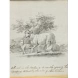 Nineteenth century pen & ink with wash, titled study of sheep in landscape by tree, mounted & gilt