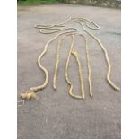 A long length of 1.5in hemp tug-of-war style twisted natural rope - 95ft; and four short lengths