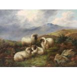 David Payne, oil on canvas, sheep in Scottish landscape, signed, in gilt scrolled frame. (33.25in