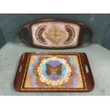 A rectangular butterfly wing tray with panel under glass framed by boxwood chequered band, with