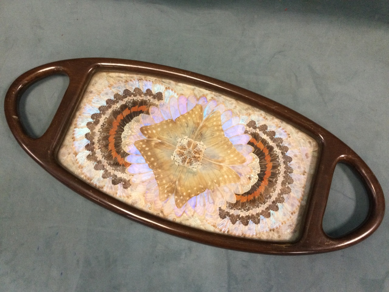 A rectangular butterfly wing tray with panel under glass framed by boxwood chequered band, with - Bild 2 aus 3