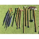 Miscellaneous sticks and canes including four umbrellas, two horn handled, a Gamebird shooting