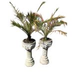A pair of composition stone garden pots on stands planted with palms, the circular bowls embossed