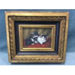 Oil on board, study of two kittens on red cushion, unsigned, in leaf moulded ebonised & gilt