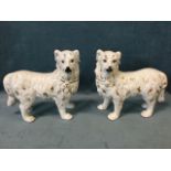 A pair of Scottish nineteenth century Boness dogs, the standing canines with gilded decoration and