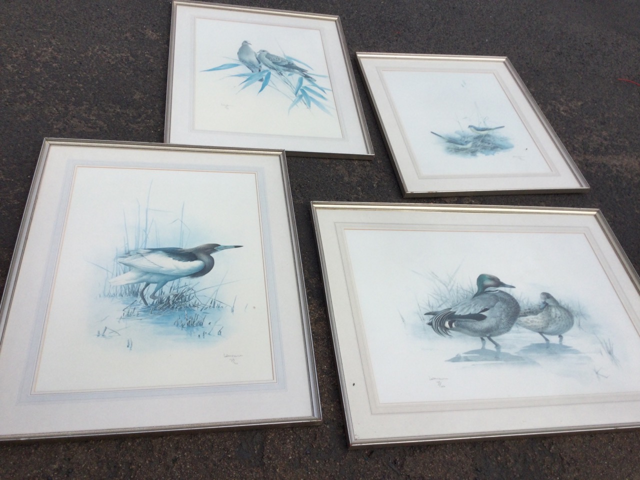 James Fenwick Lansdowne, a set of four Medici Society framed large coloured bird prints, the