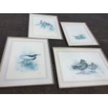 James Fenwick Lansdowne, a set of four Medici Society framed large coloured bird prints, the